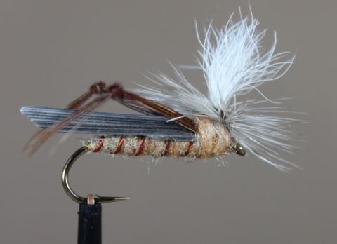 parachute-hopper-tan-480x348 parachute-hopper-tan-480x348