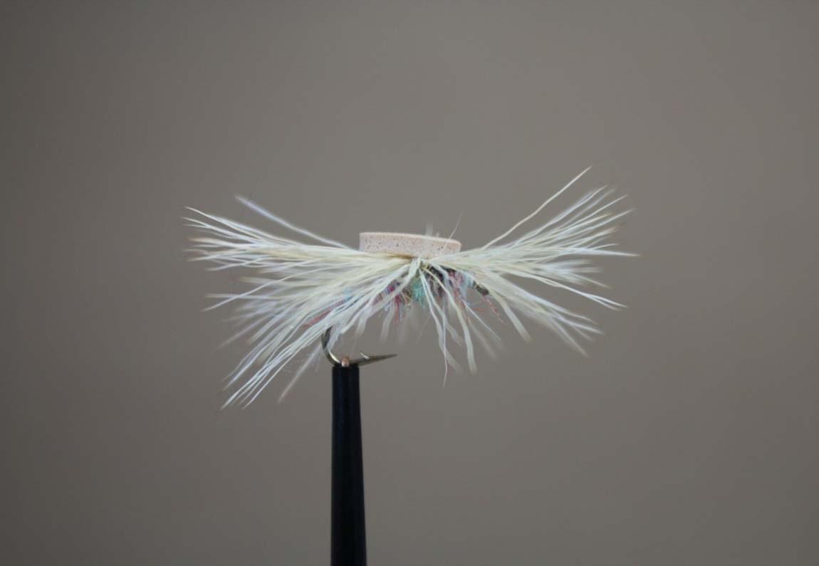 cottonseed-caddis cottonseed-caddis